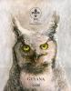Colnect-1664-237-Eurasian-Eagle-Owl-Bubo-bubo.jpg