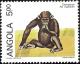Colnect-1107-836-Chimpanzee-Pan-troglodytes.jpg