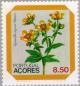 Colnect-185-793-Flower---Ranunculus-Azoricus-Watson.jpg