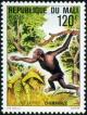 Colnect-1861-589-Chimpanzee-Pan-troglodytes.jpg