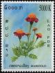 Colnect-2688-887-Red-and-orange-marigolds.jpg