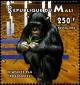Colnect-2694-701-Chimpanzee-Pan-troglodytes.jpg