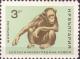 Colnect-3270-885-Chimpanzee-Pan-troglodytes.jpg