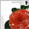 Colnect-1524-159-Japanese-Camellia.jpg