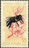 Colnect-5043-447-Honey-Bee-Apis-mellifera-on-Blossom.jpg