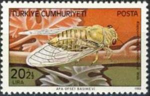Colnect-742-872-Cicada-Klapperichicen-viridissima.jpg
