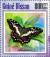 Colnect-5414-021-Papilio-demodocus.jpg