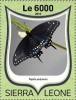 Colnect-5421-252-Papilio-polyxenes.jpg