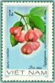 Colnect-1627-897-Rose-Apple-syzygium-Aqueum.jpg