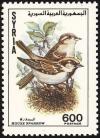 Colnect-1650-758-House-Sparrow-Passer-domesticus.jpg