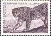 Colnect-197-213-Anatolian-Leopard-Panthera-pardus-tullianus.jpg