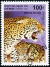 Colnect-2571-404-Leopard-Panthera-pardus.jpg