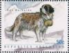 Colnect-2705-131-Saint-Bernard-Canis-lupus-familiaris.jpg