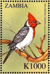 Colnect-3507-664-Red-crested-Cardinal%C2%A0-%C2%A0Paroaria-coronata.jpg