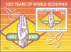 Colnect-3663-583-100-years-of-world-Scouting.jpg