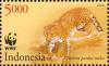 Colnect-3765-009-Javan-Leopard-Panthera-pardus-melas.jpg