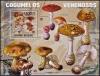 Colnect-5012-572-Various-Mushrooms.jpg