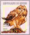 Colnect-868-383-Short-eared-Owl-Asio-flammeus.jpg