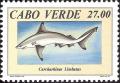 Colnect-1129-280-Blacktip-Shark-Carcharhinus-limbatus-.jpg