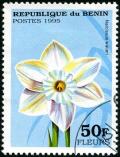 Colnect-2571-396-Narcissus-watieri.jpg