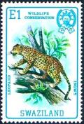 Colnect-2961-404-Leopard-Panthera-pardus.jpg