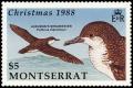 Colnect-3189-531-Audubon-s-Shearwater-Puffinus-lherminieri.jpg