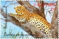Colnect-4028-972-Leopard-Panthera-pardus.jpg