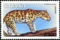 Colnect-4236-111-Leopard-Panthera-pardus.jpg