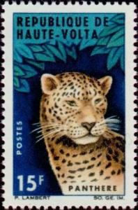 Colnect-508-198-Leopard-Panthera-pardus.jpg
