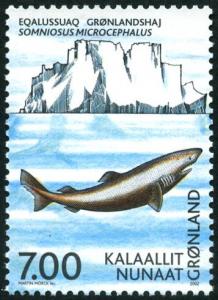 Colnect-4434-354-Greenland-Shark-Somniosus-microcephalus.jpg