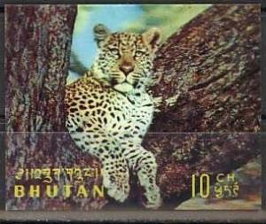 Colnect-1128-686-Leopard-Panthera-pardus.jpg