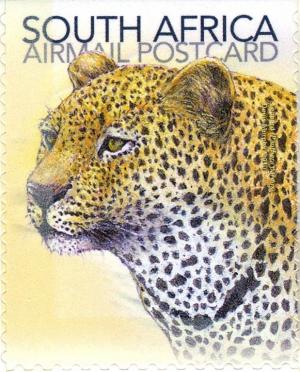 Colnect-1391-082-Leopard-Panthera-pardus.jpg