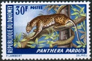 Colnect-1529-709-Leopard-Panthera-pardus.jpg
