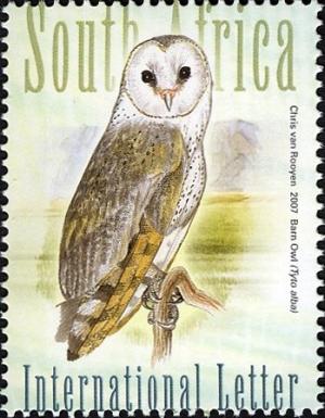 Colnect-1608-390-Barn-Owl-Tyto-alba.jpg