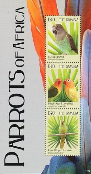 Colnect-1720-845-Parrots-of-Africa.jpg