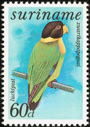 Colnect-2315-492-Caica-Parrot-Pionopsitta-caica.jpg