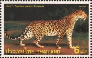 Colnect-2345-441-Leopard-Panthera-pardus.jpg