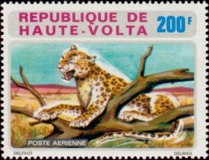 Colnect-3549-564-Leopard-Panthera-pardus.jpg