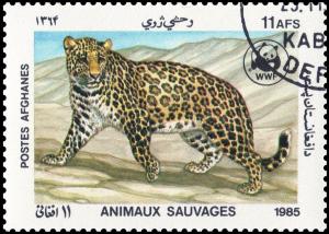 Colnect-3582-660-Leopard-Panthera-pardus.jpg