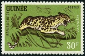 Colnect-540-636-Leopard-Panthera-pardus.jpg