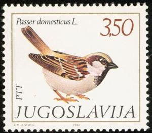 Colnect-763-594-House-Sparrow-Passer-domesticus.jpg