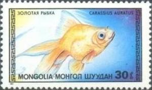 Colnect-918-346-Goldfish-Carassius-auratus-auratus.jpg