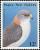 Colnect-3122-862-New-Britain-Sparrowhawk-Accipiter-brachyurus.jpg
