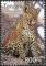 Colnect-1690-081-Leopard-Panthera-pardus.jpg