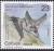 Colnect-5761-138-Mountain-Long-eared-Bat-Plecotus-macrobullaris.jpg