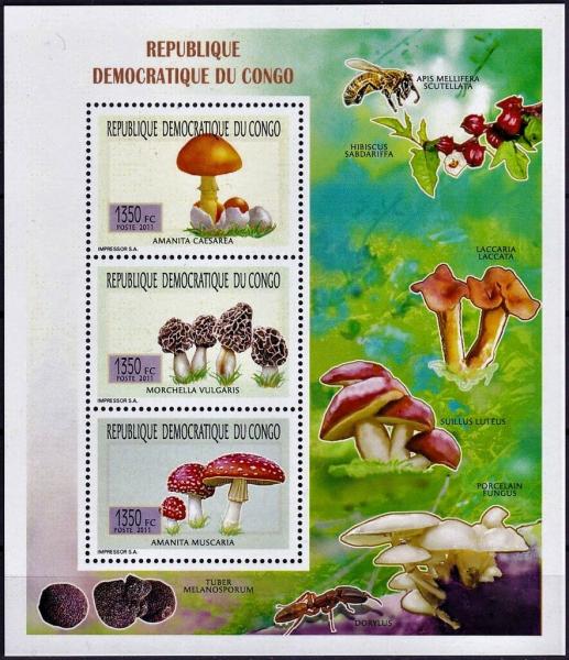 Colnect-5557-779-Various-Mushrooms.jpg
