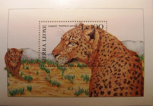 Colnect-1469-446-Leopard-Panthera-pardus.jpg