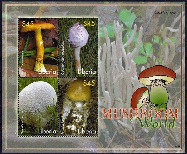 Colnect-5234-430-Various-Mushrooms.jpg