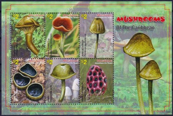 Colnect-5639-566-Various-Mushrooms.jpg