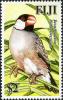 Colnect-746-674-Java-Sparrow-Padda-oryzivora.jpg